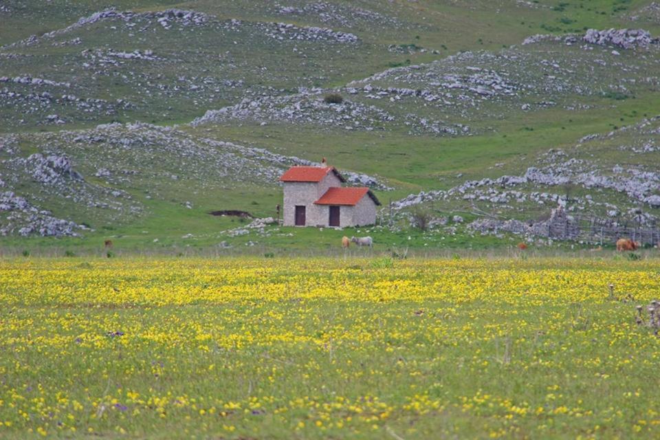 La Stella Danzante B&B Camerata Vecchia Zewnętrze zdjęcie