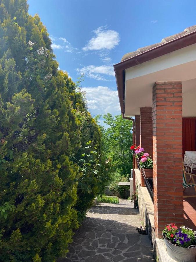 La Stella Danzante B&B Camerata Vecchia Zewnętrze zdjęcie